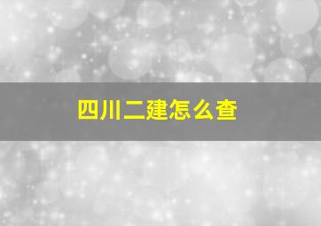 四川二建怎么查