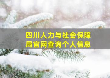 四川人力与社会保障局官网查询个人信息