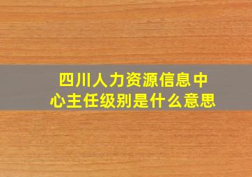 四川人力资源信息中心主任级别是什么意思