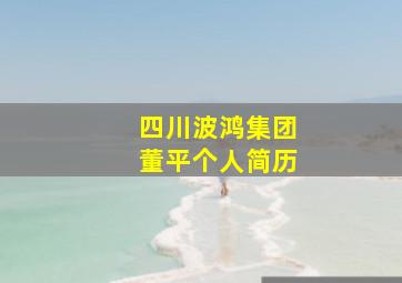 四川波鸿集团董平个人简历