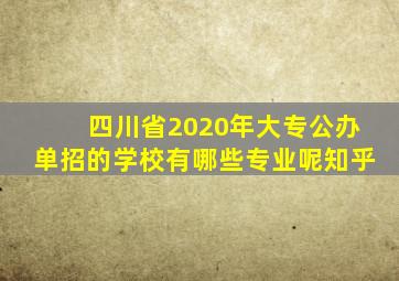 四川省2020年大专公办单招的学校有哪些专业呢知乎