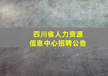 四川省人力资源信息中心招聘公告