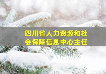 四川省人力资源和社会保障信息中心主任