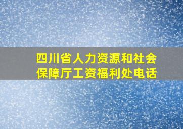 四川省人力资源和社会保障厅工资福利处电话