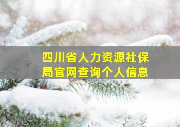 四川省人力资源社保局官网查询个人信息