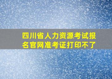 四川省人力资源考试报名官网准考证打印不了