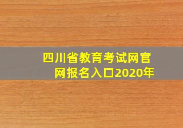 四川省教育考试网官网报名入口2020年