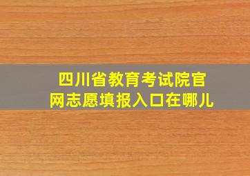 四川省教育考试院官网志愿填报入口在哪儿