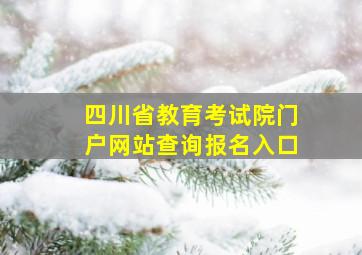 四川省教育考试院门户网站查询报名入口