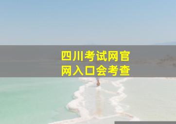 四川考试网官网入口会考查