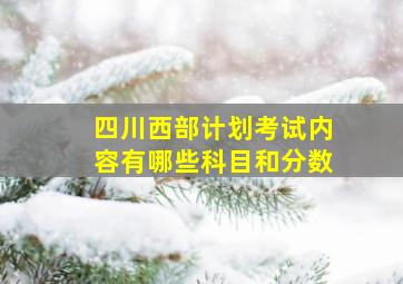 四川西部计划考试内容有哪些科目和分数