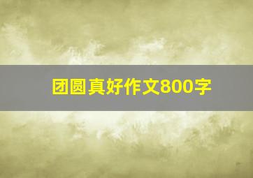 团圆真好作文800字