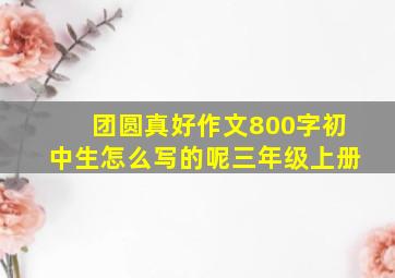 团圆真好作文800字初中生怎么写的呢三年级上册