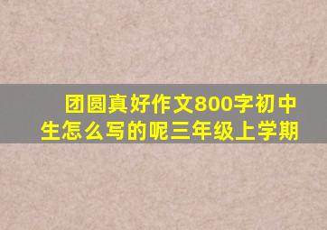 团圆真好作文800字初中生怎么写的呢三年级上学期