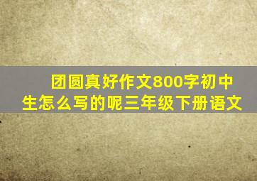 团圆真好作文800字初中生怎么写的呢三年级下册语文