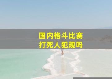 国内格斗比赛打死人犯规吗