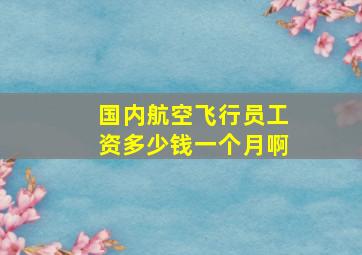 国内航空飞行员工资多少钱一个月啊