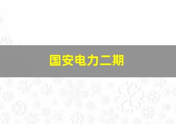 国安电力二期