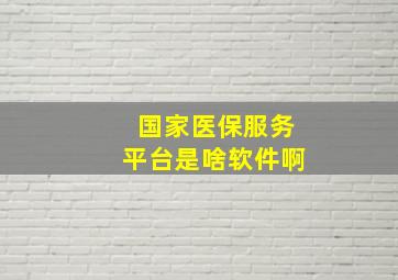 国家医保服务平台是啥软件啊