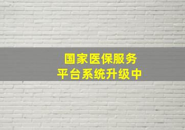 国家医保服务平台系统升级中