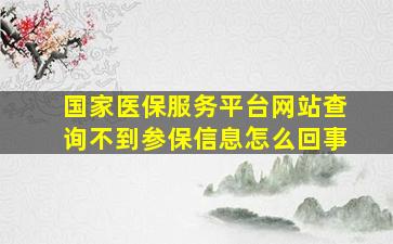 国家医保服务平台网站查询不到参保信息怎么回事