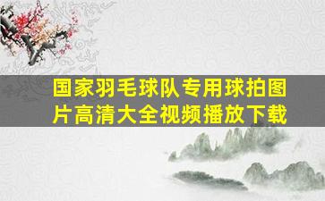 国家羽毛球队专用球拍图片高清大全视频播放下载