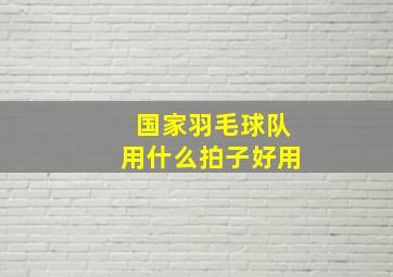 国家羽毛球队用什么拍子好用