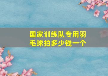 国家训练队专用羽毛球拍多少钱一个