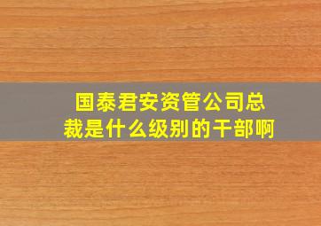 国泰君安资管公司总裁是什么级别的干部啊