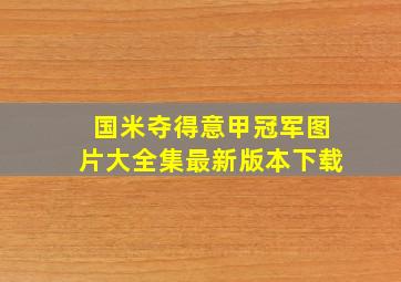 国米夺得意甲冠军图片大全集最新版本下载