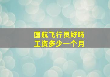 国航飞行员好吗工资多少一个月