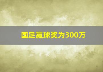 国足赢球奖为300万