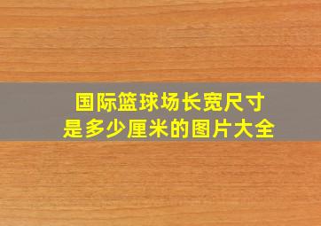 国际篮球场长宽尺寸是多少厘米的图片大全