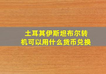 土耳其伊斯坦布尔转机可以用什么货币兑换