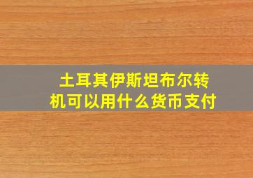 土耳其伊斯坦布尔转机可以用什么货币支付