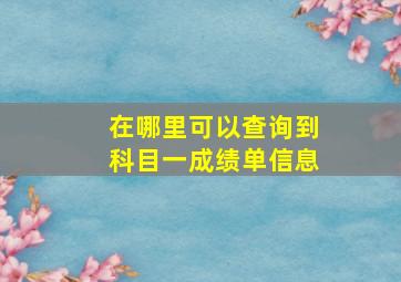 在哪里可以查询到科目一成绩单信息