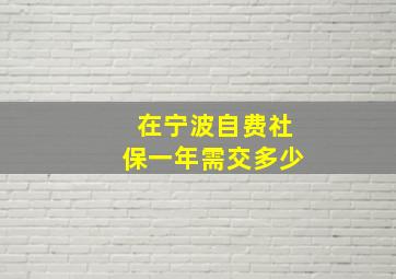 在宁波自费社保一年需交多少