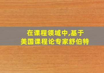 在课程领域中,基于美国课程论专家舒伯特