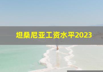 坦桑尼亚工资水平2023