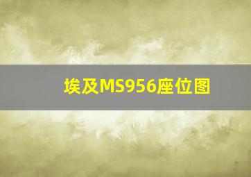 埃及MS956座位图