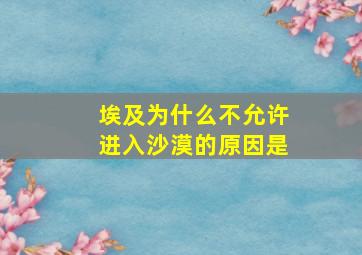 埃及为什么不允许进入沙漠的原因是