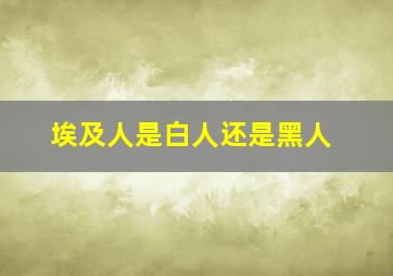 埃及人是白人还是黑人