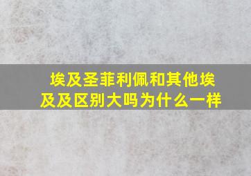 埃及圣菲利佩和其他埃及及区别大吗为什么一样