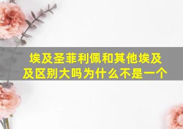 埃及圣菲利佩和其他埃及及区别大吗为什么不是一个