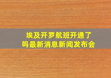 埃及开罗航班开通了吗最新消息新闻发布会