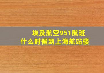 埃及航空951航班什么时候到上海航站楼