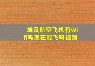 埃及航空飞机有wifi吗现在能飞吗视频