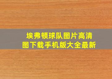 埃弗顿球队图片高清图下载手机版大全最新