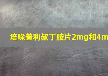 培哚普利叔丁胺片2mg和4mg