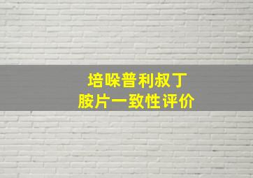 培哚普利叔丁胺片一致性评价